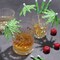 50 Green 6" Natural Bamboo SKEWERS Cocktail Picks Leaf Parasol